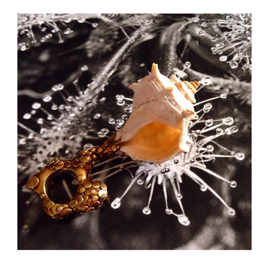 finejewelry ring gold shell ocean sea eternity venus precious art oneofakind atelier munich instajewelry instagood haveaniceday